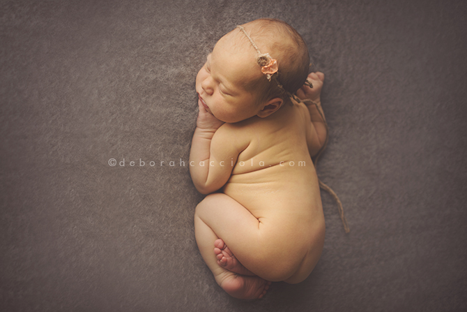 photographe bébé fille orléans